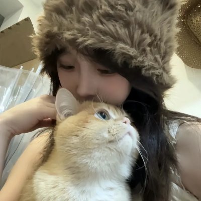 离狼之歌